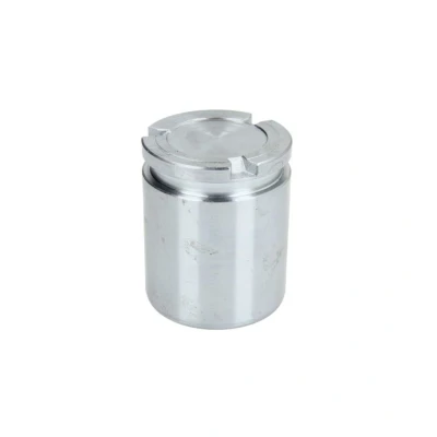 Immagine di AUTOFREN SEINSA D025543 Pistone, Pinza freno 43 Assale posteriore TRW AUDI: A6 C6 Avant, A4 B8 Allroad