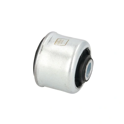 Immagine di REINHOCH RH14 2037 Silent Block Assale anteriore inferiore 46 Gomma Braccio trasversale oscillante RENAULT: Scénic 1, Megane Scenic