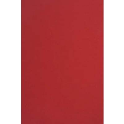 Immagine di Netuno 10x carta colorata rosso formato A4 210 x 297 mm 170g Sirio Color Lampone cartoncini colorati da stampare zucchero rossa qualità per lavoretti natalizi inviti partecipazioni