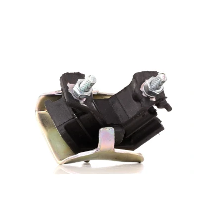 Immagine di DELPHI TEM002 Supporto motore RENAULT: MEGANE 1, 1 Cabriolet, 19 II Chamade