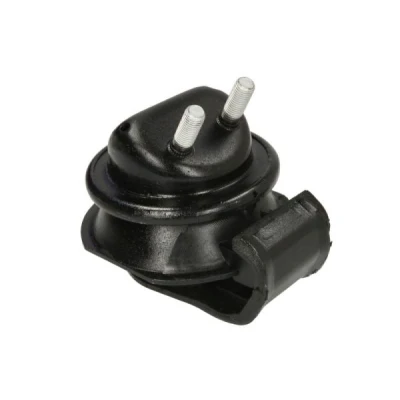 Immagine di REINHOCH RH11 4067 Supporto motore Sx