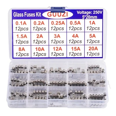 Immagine di GUUZI 15 valori 180 pezzi 5x20mm 250V Kit Assortimento Fusibili in Vetro ad Azione Rapida 0,1A/0,2A/0,25A/0,5A/1A/1.5A/2A/3A/4A/5A/8A/10A/12A/ 15A/20A