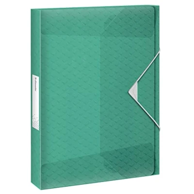 Immagine di Esselte Scatola Portadocumenti in Formato A4, Contiene fino a 350 Fogli, Utilizzabile Casa e Ufficio, Gamma Colour&#039;Breeze, Motivo Rilievo, Dorso da 40 mm Verde