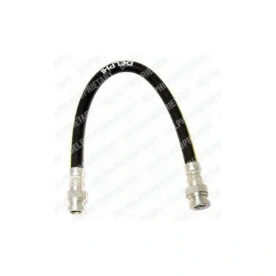Immagine di DELPHI LH0443 Tubi Freno 311mm M10x1 Int DF
