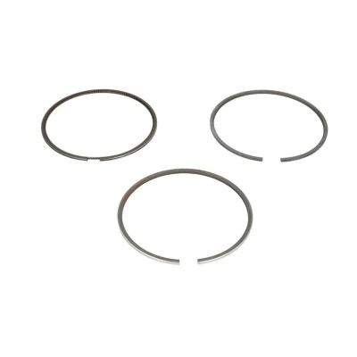 Immagine di GOETZE ENGINE 08 424900 00 Kit Fasce Elastiche 80 RENAULT: Trafic 3, Espace 5, MEGANE 3 Grandtour, MERCEDES BENZ: Classe C T modell, Vito Van mister