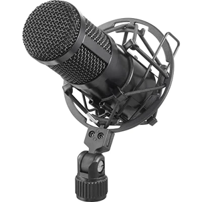 Immagine di Renkforce RF MIC 510 Microfono USB con Custodia, Ragno, Protezione dal Vento, Cavo Incluso, Custodia per Inclusa