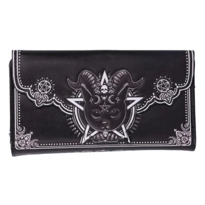 Immagine di Nemesis Now Pawzuph Borsetta in finta pelle, 18,5 cm, motivo gatto cornuto, elegante e pratica, con scomparti multipli per contanti carte, Nero, 18.5cm, Classico