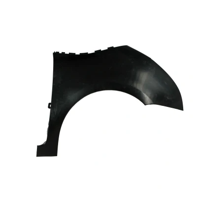 Immagine di BLIC 6504 04 0538312Q Parafango anteriore Dx CITROËN: C4 Picasso 1