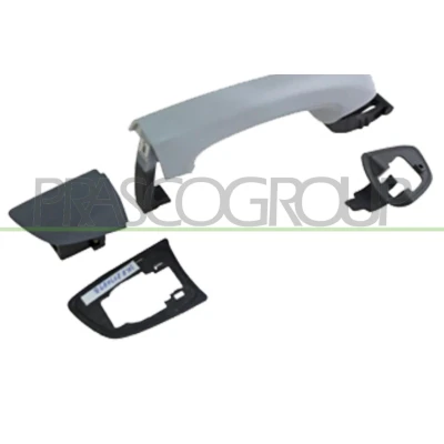 Immagine di PRASCO VG1018103 Maniglia Apriporta posteriore Dx con la prima mano VOLKSWAGEN: GOLF 6, Sharan II, SEAT: Alhambra II