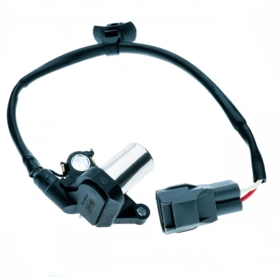 Immagine di NTY ECP TY 008 Generatore di Impulsi 2