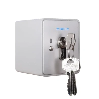 Immagine di Interruttore a Chiave 230V Scatto Apb 1 1R,Comando Cancello,Copertura Di Motore