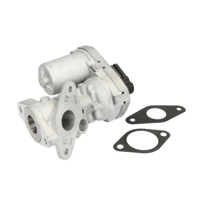 Immagine di NRF 48322 Valvola EGR elettrico con guarnizioni FIAT: Ducato III Camion pianale / Telaio, Van, Grande Punto Hatchback