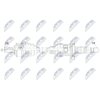 Immagine di Albero motore/Semiasse NTY NPW VV 175