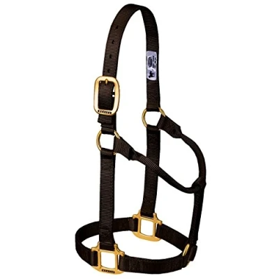 Immagine di Weaver Leather Cavezza per cavallo in nylon non regolabile, grande, marrone