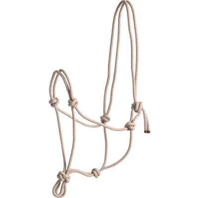 Immagine di Cavezza in corda First, beige