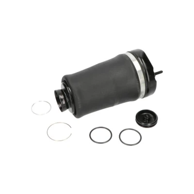 Immagine di KAVO PARTS SAS 10004 Molla pneumatica, Autotelaio Assale anteriore MERCEDES BENZ: Classe ML, GL