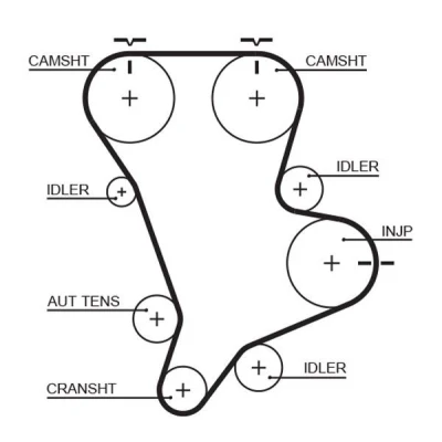 Immagine di GATES FleetRunner Micro V Stretch Fit 5583XS Cinghia Distribuzione 152 1448 30 Fibra ottica, HNBR (Nitrile Butadiene Caucciù acrilico idratato)