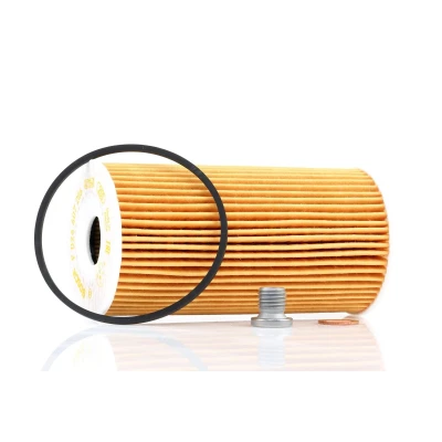 Immagine di BOSCH F 026 407 206 filtro olio con guarnizioni Cartuccia LANCIA: Voyager, CHRYSLER: GRAND 5OYAGER 5