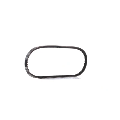 Immagine di Cinghia trapezoidale DAYCO 11A0950C