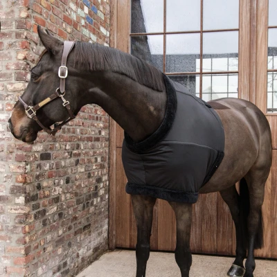 Immagine di Kentucky Chest Protection