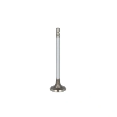 Immagine di FRECCIA R6728/SCR valvola Aspirazione 25,6 Terminale Stelo temprato, cromato PEUGEOT: 207 Hatchback, 206 SW, 307 SW