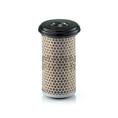 Immagine di MANN FILTER C 1176 filtro aria 227 110, 137 Cartuccia