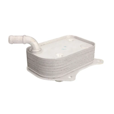 Immagine di THERMOTEC D4A013TT Radiatore Olio AUDI: A4 B7 Avant, A6 C5 B6/B7 Cabrio