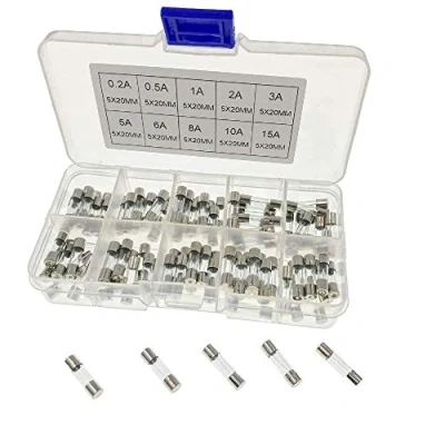 Immagine di JZK 100x Fusibile in vetro Flinke da 20x5mm con scatola e 10 Ampere Valori: 0,2A 0,5A 1A 2A 3A 5A 6A 8A 10A 15A