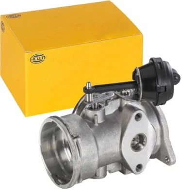 Immagine di HELLA 6NU 010 171 641 Valvola EGR con comando a depressione guarnizioni VOLKSWAGEN: Passat B5 GP Variant, Sedan, Multivan 5 (7HM