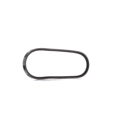 Immagine di DAYCO 11A0760C Cinghie Scanalate 11,0mm 760,0mm