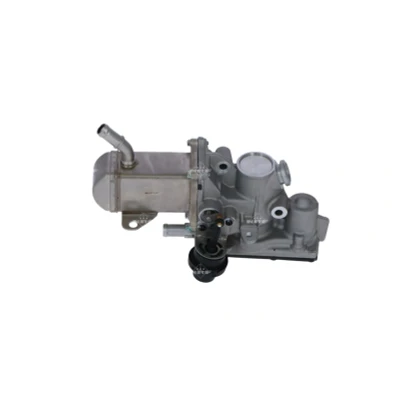 Immagine di NRF 48207 Modulo EGR con radiatore RENAULT: SCENIC 3