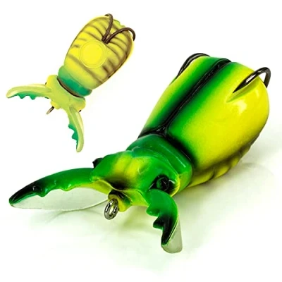 Immagine di Molix Supernato Beetle Baby col. Chart