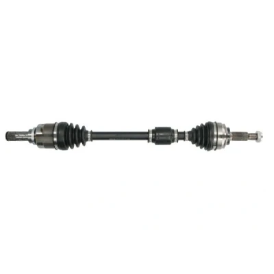 Immagine di Albero motore/Semiasse PASCAL G2R122PC