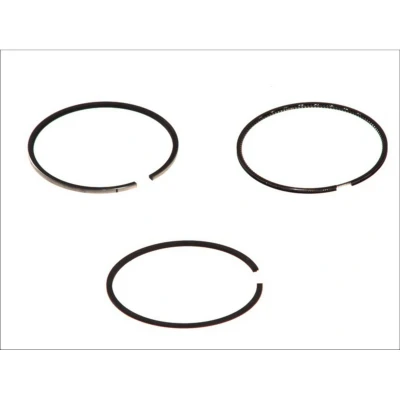 Immagine di GOETZE ENGINE 08 114400 10 Kit Fasce Elastiche 84 BMW: 5 Sedan, 7