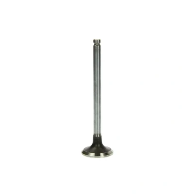 Immagine di FRECCIA R3990/RCR valvola di Scarico 34,5 Stelo cromato