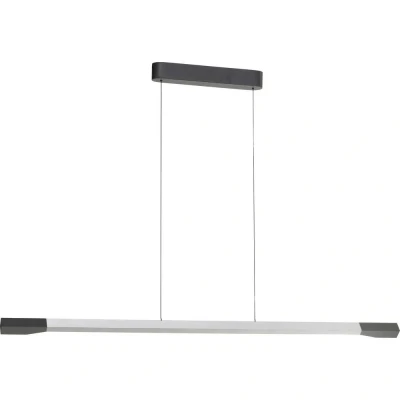 Immagine di Paul Neuhaus Lampada LED a sospensione Hoop, colore alluminio, 128 cm,