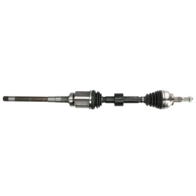 Immagine di Albero motore/Semiasse PASCAL G2G088PC