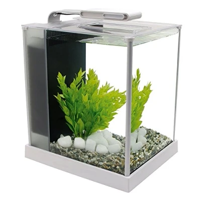 Immagine di Askoll 280270 Fluval Acquario Spec Bianco 10 L 27, 5 X 22, 3 30 H