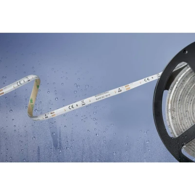 Immagine di Barthelme Basic 51540434 Striscia LED con estremità libera 12 V 5 m Bianco freddo 1 pz.