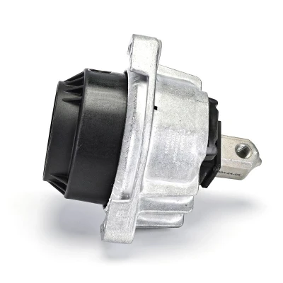 Immagine di DELPHI TEM255 Supporto motore bilaterale BMW: 5 Touring, Sedan, GT