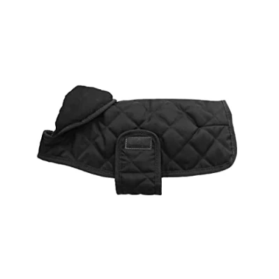 Immagine di Kentucky Dog Coat