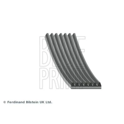 Immagine di BLUE PRINT AD07R1675 Cinghia Poly V 1675mm 7 EPDM (Etilene Propilene Diene Caucciù) RENAULT: Kadjar, Megane 4, Trafic 3, NISSAN: Qashqai 2, X Trail