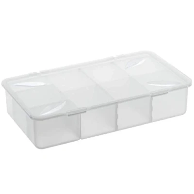 Immagine di Rotho Snappy Scatola con Scomparti e Coperchio, Plastica (PP) senza BPA, Trasparente, 3 L, 33.9 x 19.8 7.6 cm