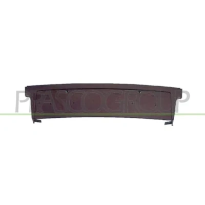 Immagine di Supporto targa PRASCO BM0971539