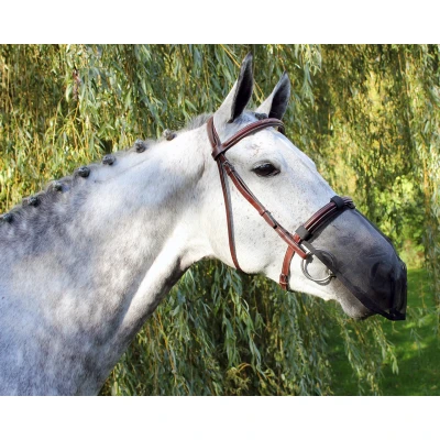 Immagine di QHP Nose net