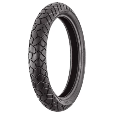 Immagine di Bridgestone Battlax S21 130/70 R16 61W auto Pneumatici estivi 8443