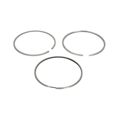 Immagine di KOLBENSCHMIDT 800108510000 Kit Fasce Elastiche 125