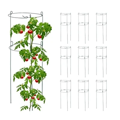 Immagine di Relaxdays Set di 10 Supporti Rotondi per Piante rampicanti, in Metallo, pomodori, Altezza x profondità: 76 26 cm, 2 Anelli, Torre cetrioli, Verde, 100% Acciaio, da