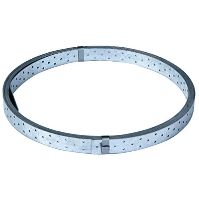 Immagine di Alberts 339043 Nastro forato zincato con procedimento Sendzimir 10 m, 40 x 2 mm