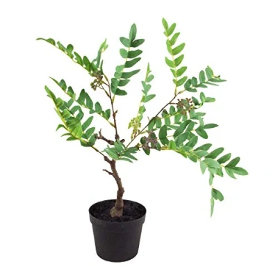 Immagine di Leaf Mini Pianta di Felce Artificiale con Vaso, Bacche sempreverdi, 50 cm